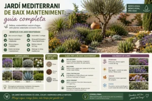 Jardí mediterrani de baix manteniment guia completa